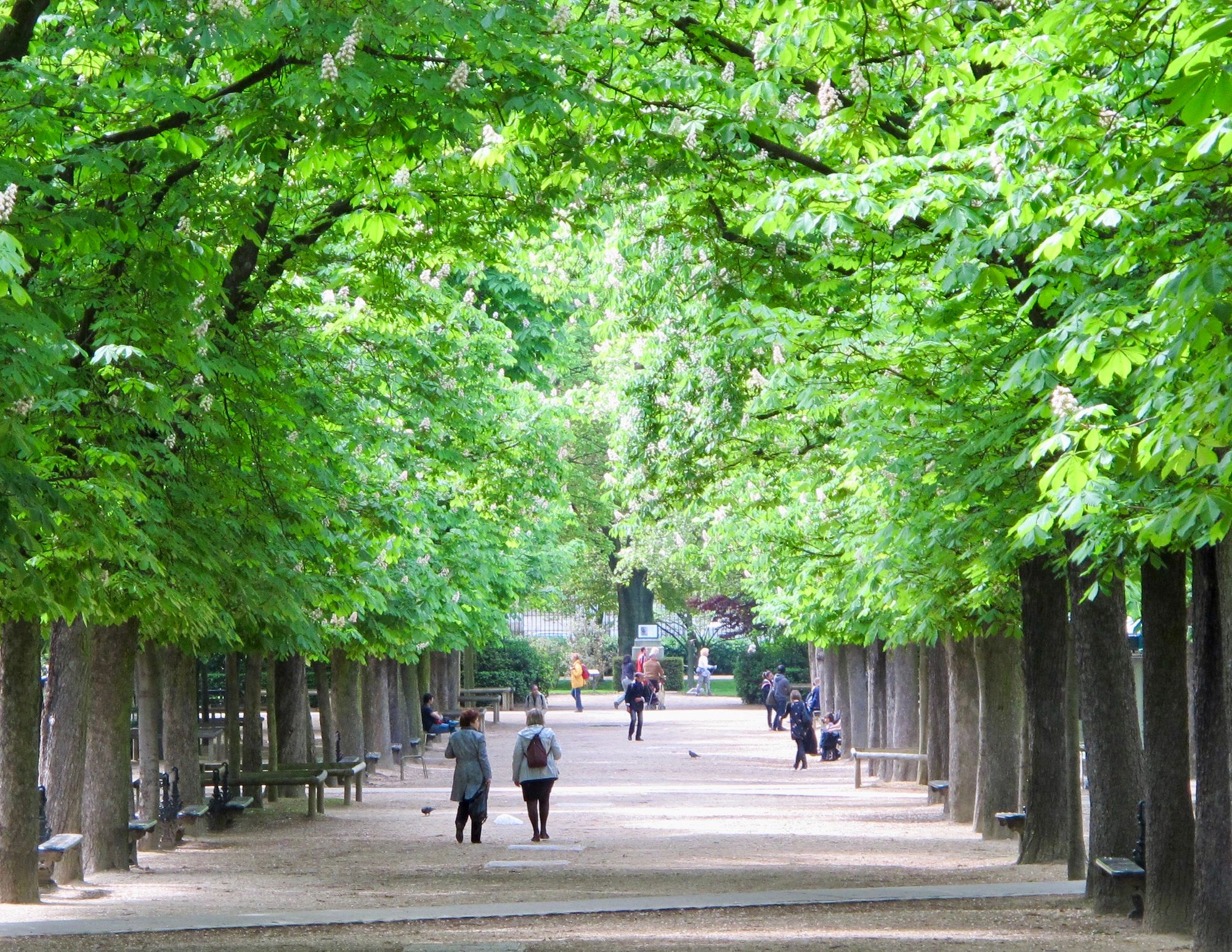 The Magic of Luxembourg Gardens