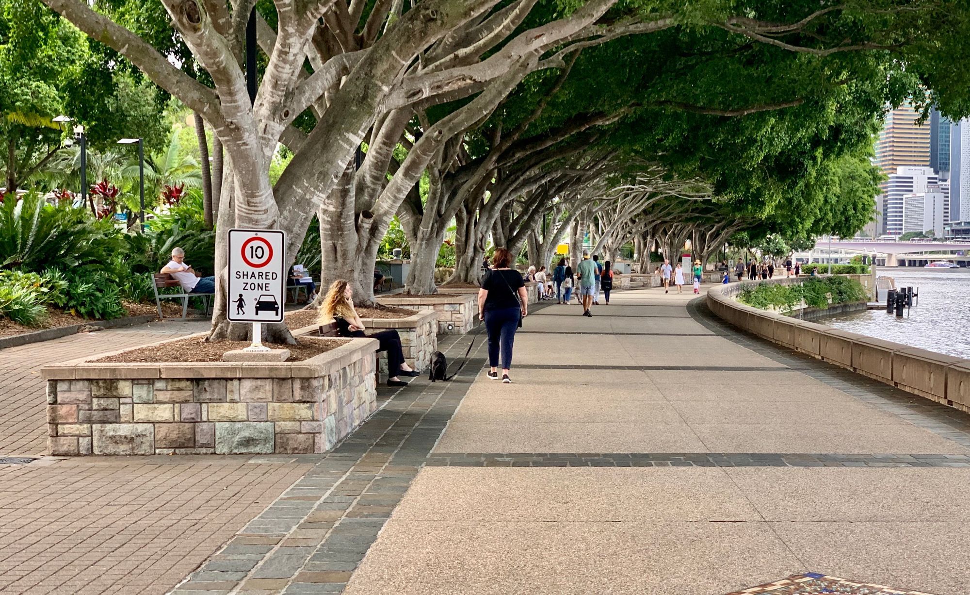 Throwing (Good) Shade for Placemaking