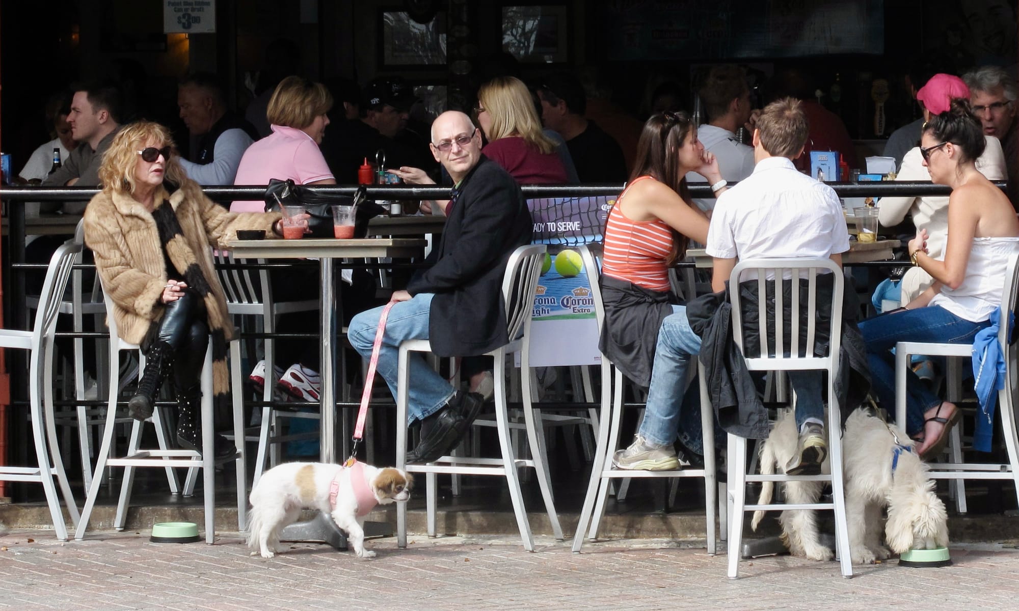 The Delray Beach Story - How Pets Add to Social Life