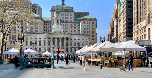 Community Discussion: Creating the Heart of Brooklyn — Brooklyn Borough Hall, Court House, Cadman Plaza down to Fulton Landing